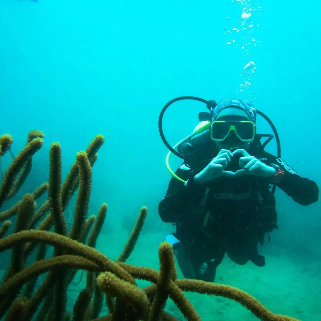 Minicurso de Buceo